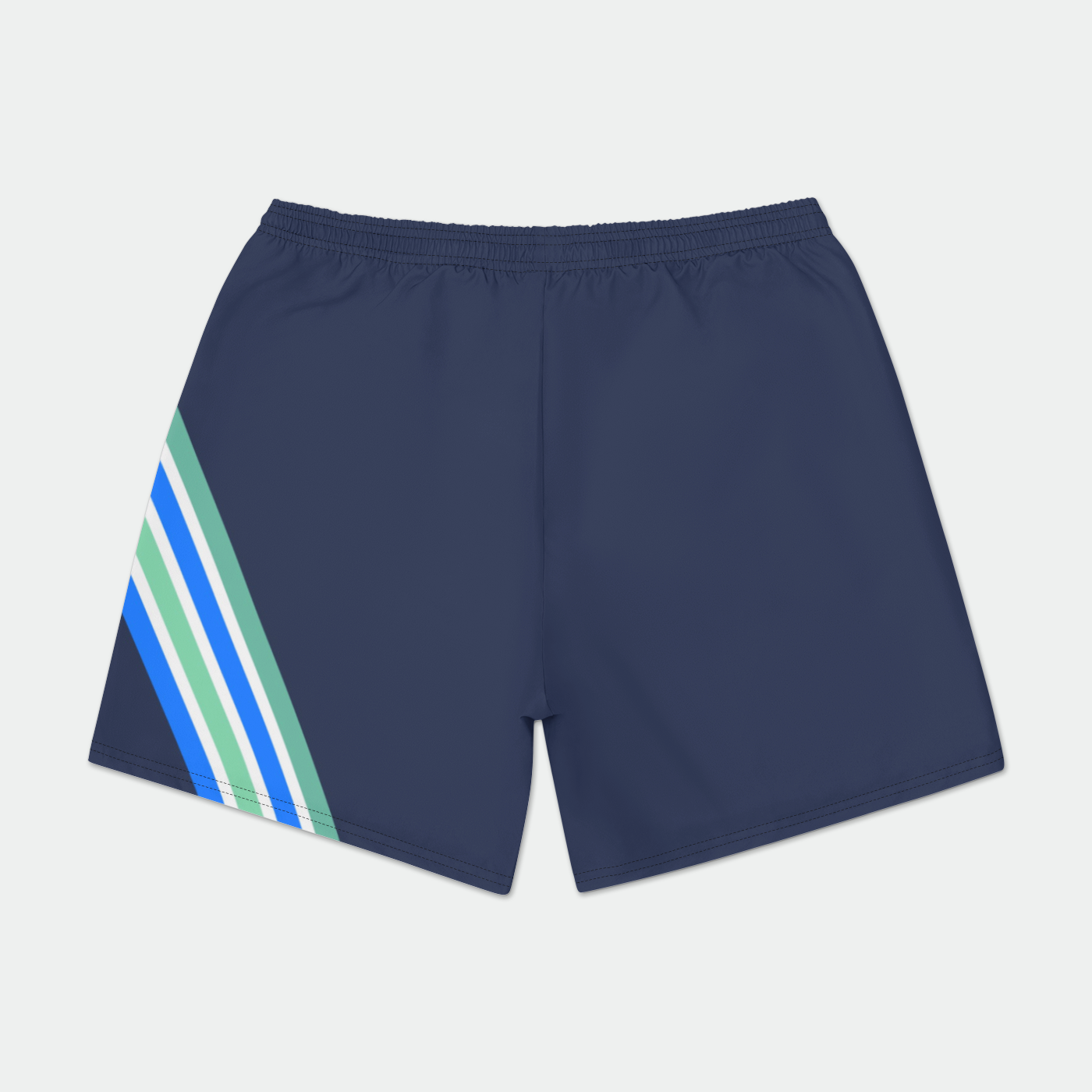 RCVA Hobies Volleys