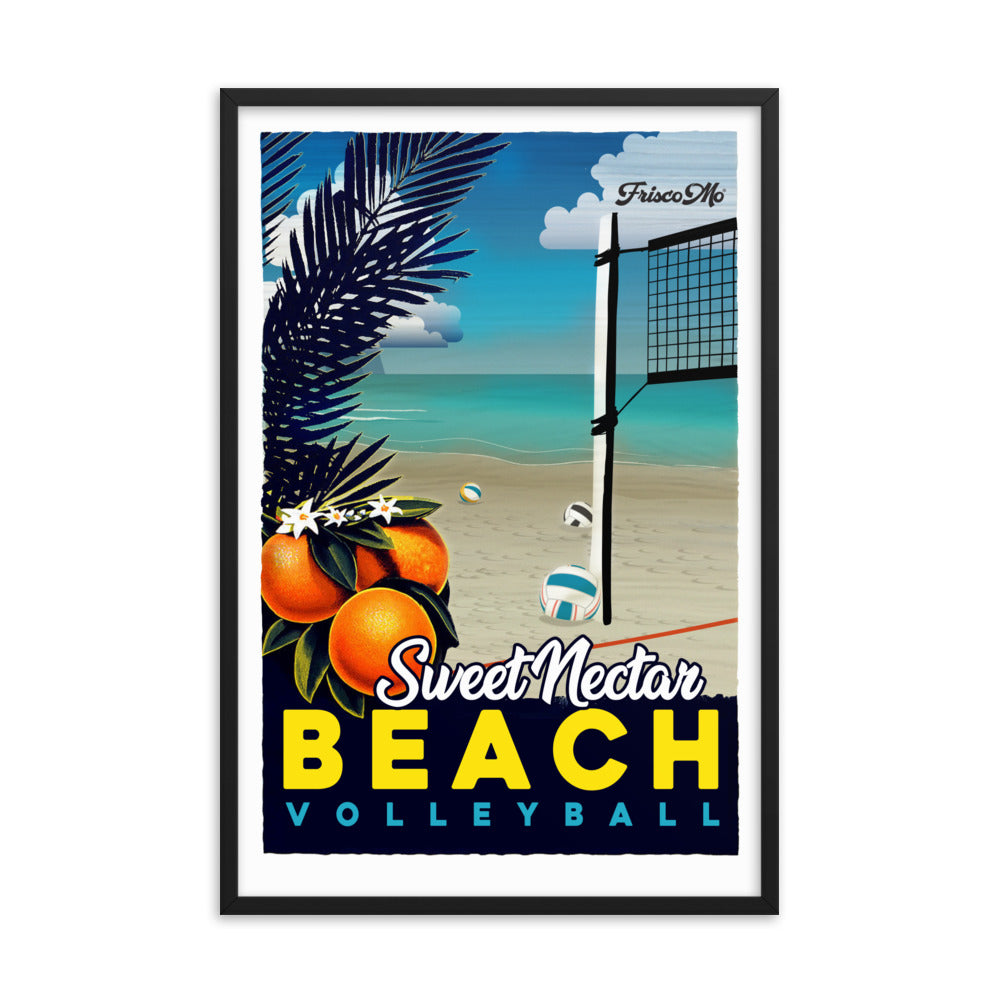 Nectar Beach Volleyball Framed Poster