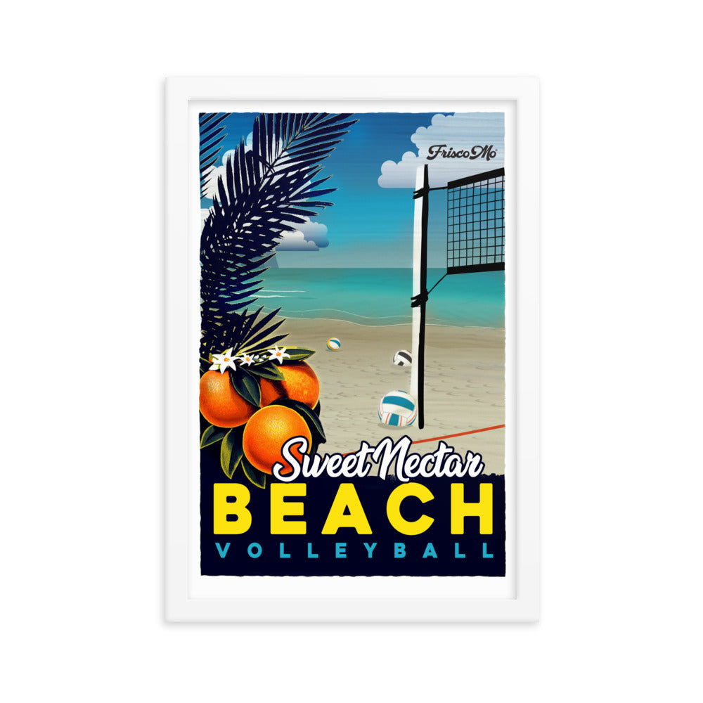 Nectar Beach Volleyball Framed Poster