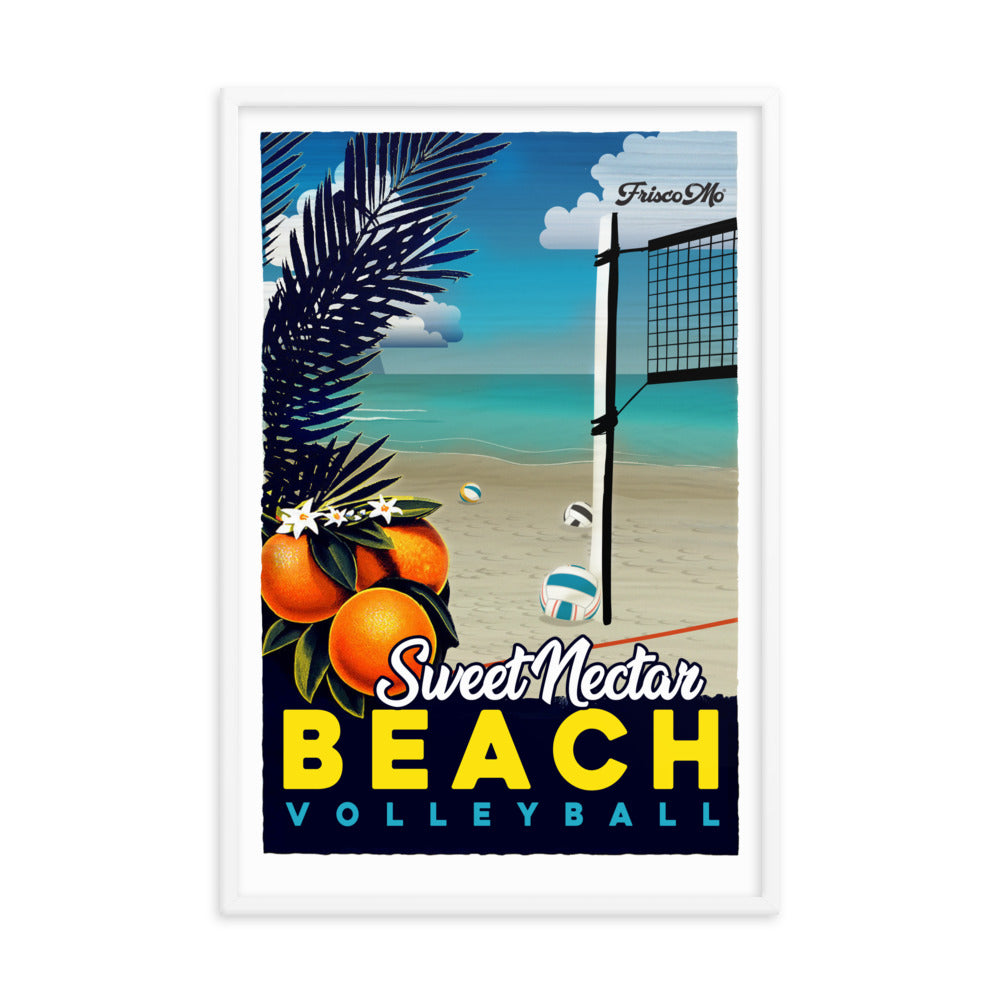 Nectar Beach Volleyball Framed Poster