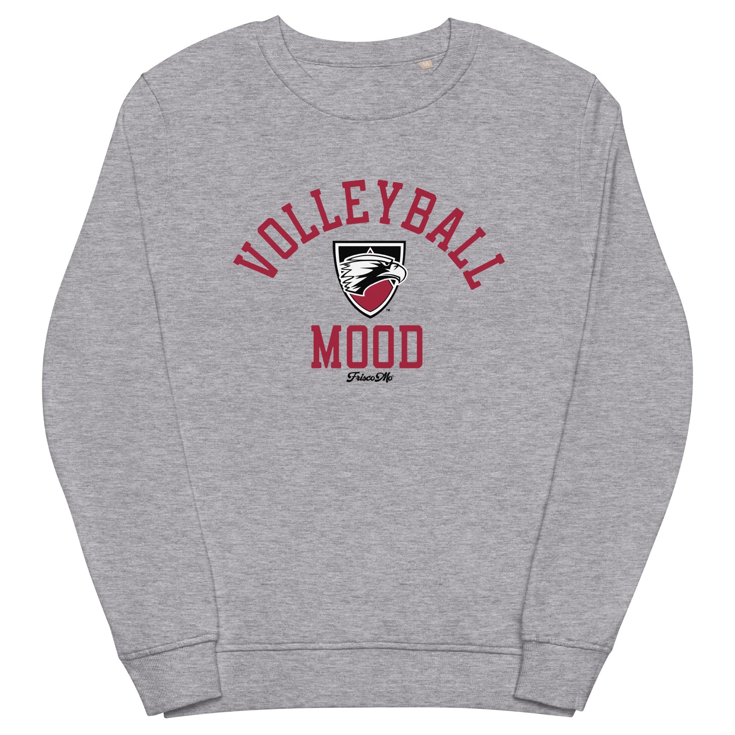 Edgewood Volleyball Mood Light Organic Crew