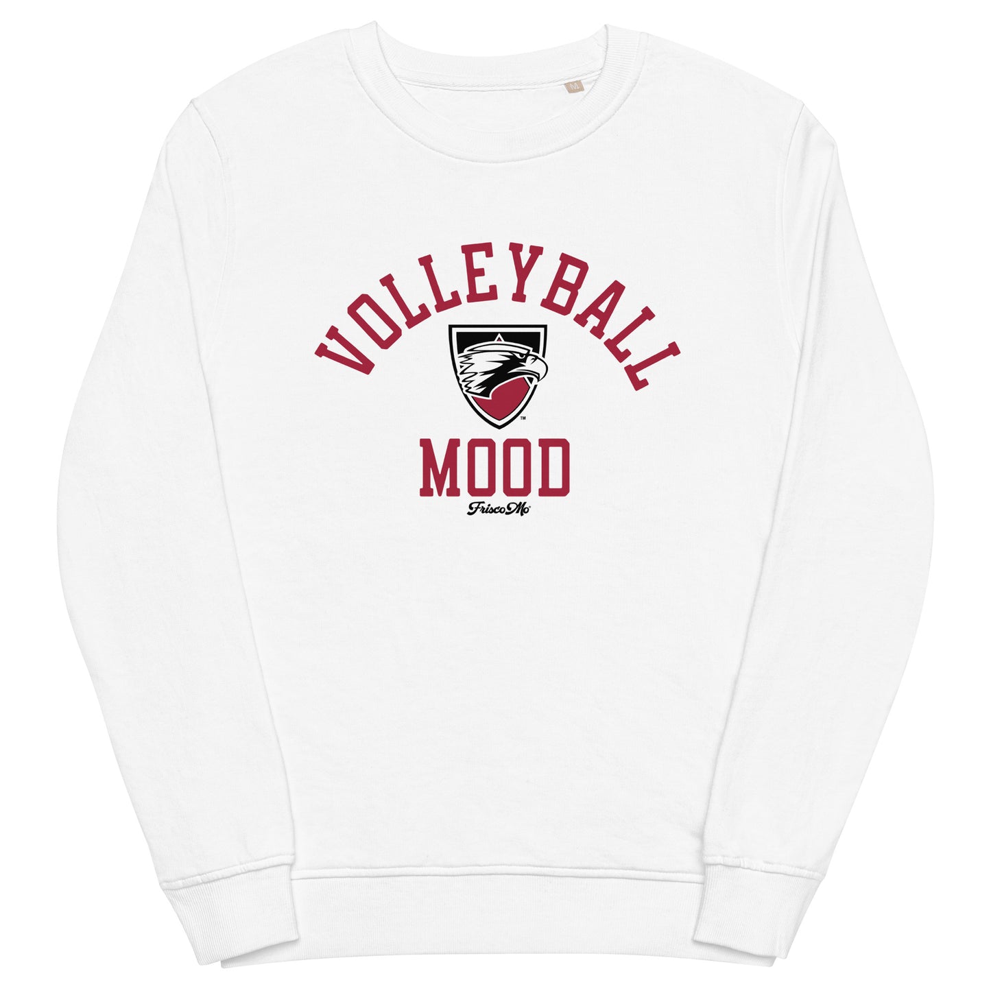 Edgewood Volleyball Mood Light Organic Crew