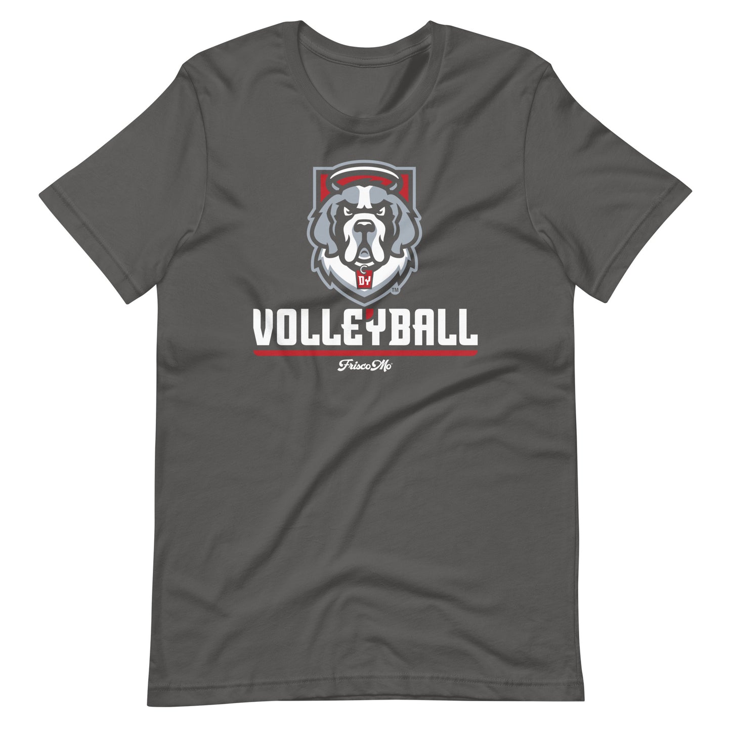 D'Youville Volleyball Unisex Tee