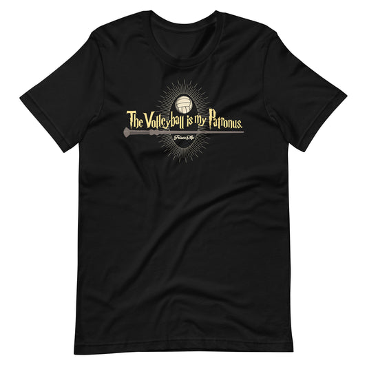 The Volleyball Is My Patronus