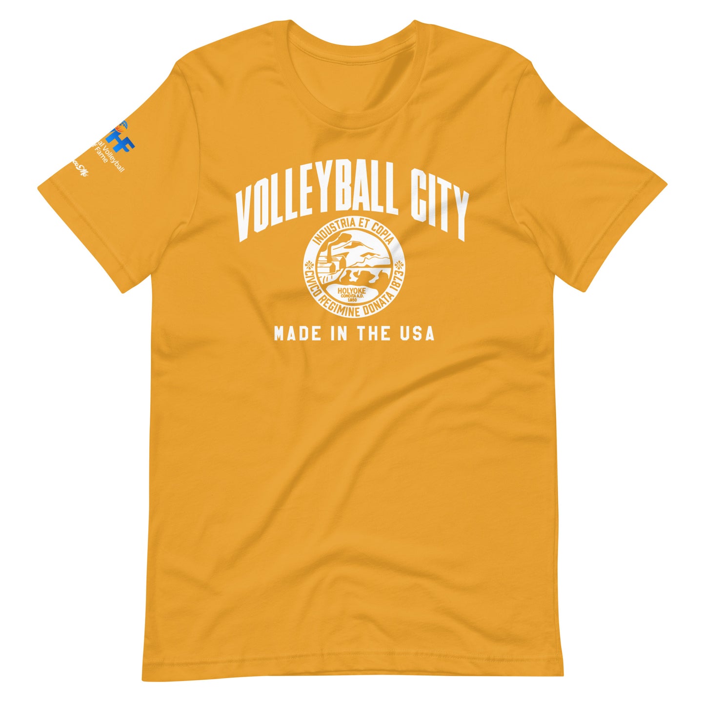 IVHF Volleyball City