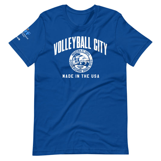 IVHF Volleyball City