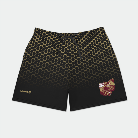 Licking Heights Honeycomb Volleys