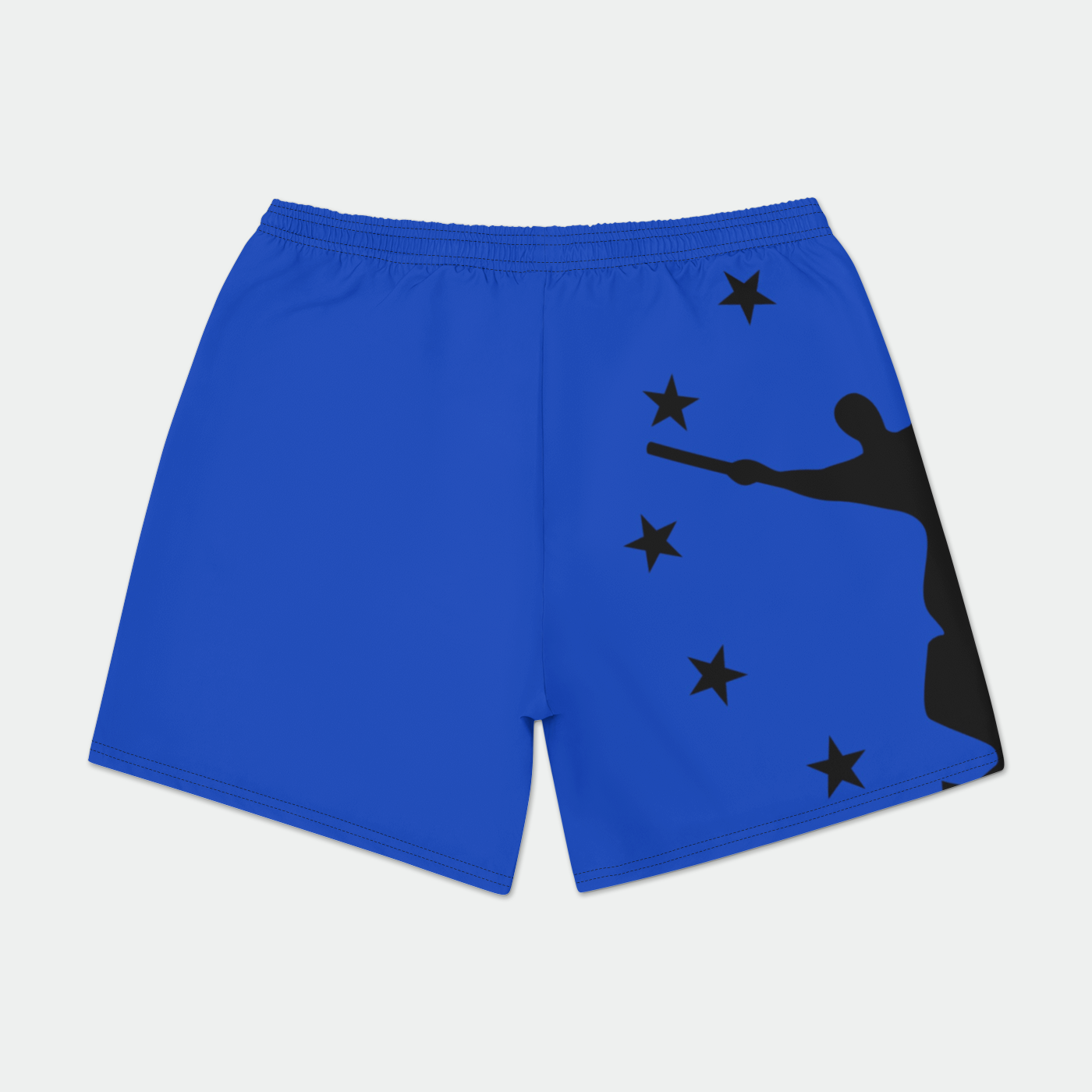 RCVA Richmond Flag Icon Volleys