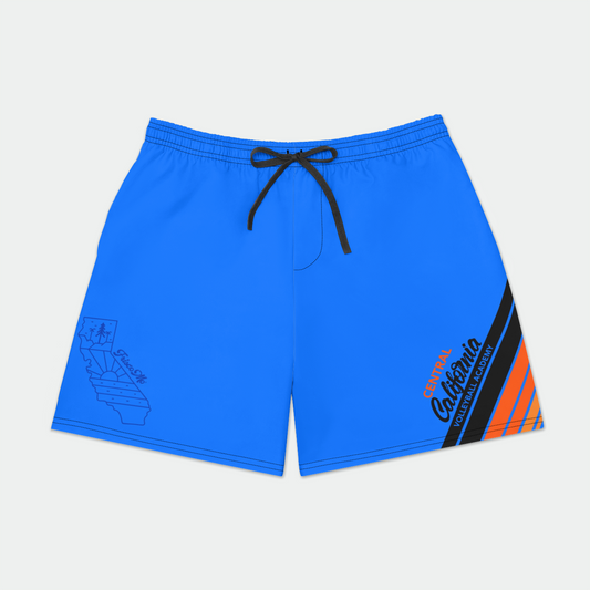 CCVA Blue Volleys