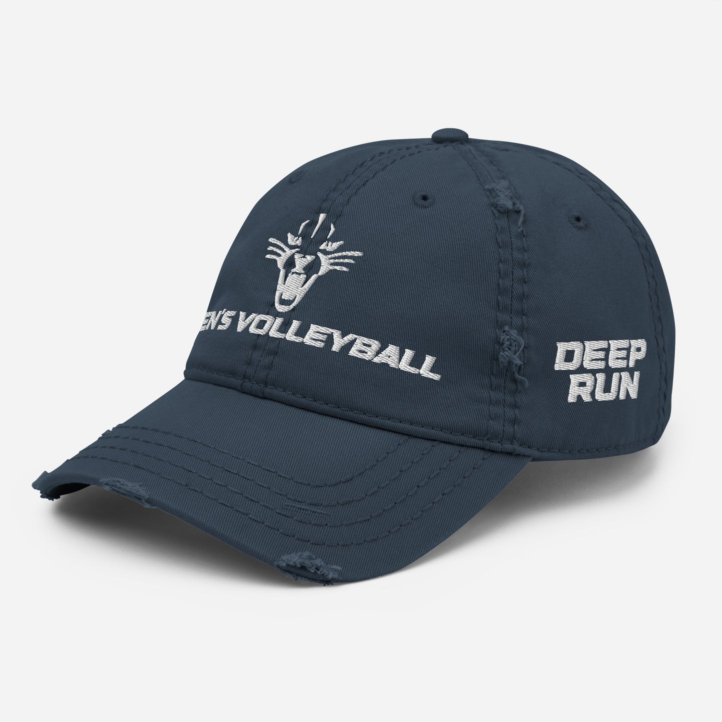 Deep Run Embroidered Distressed Cap