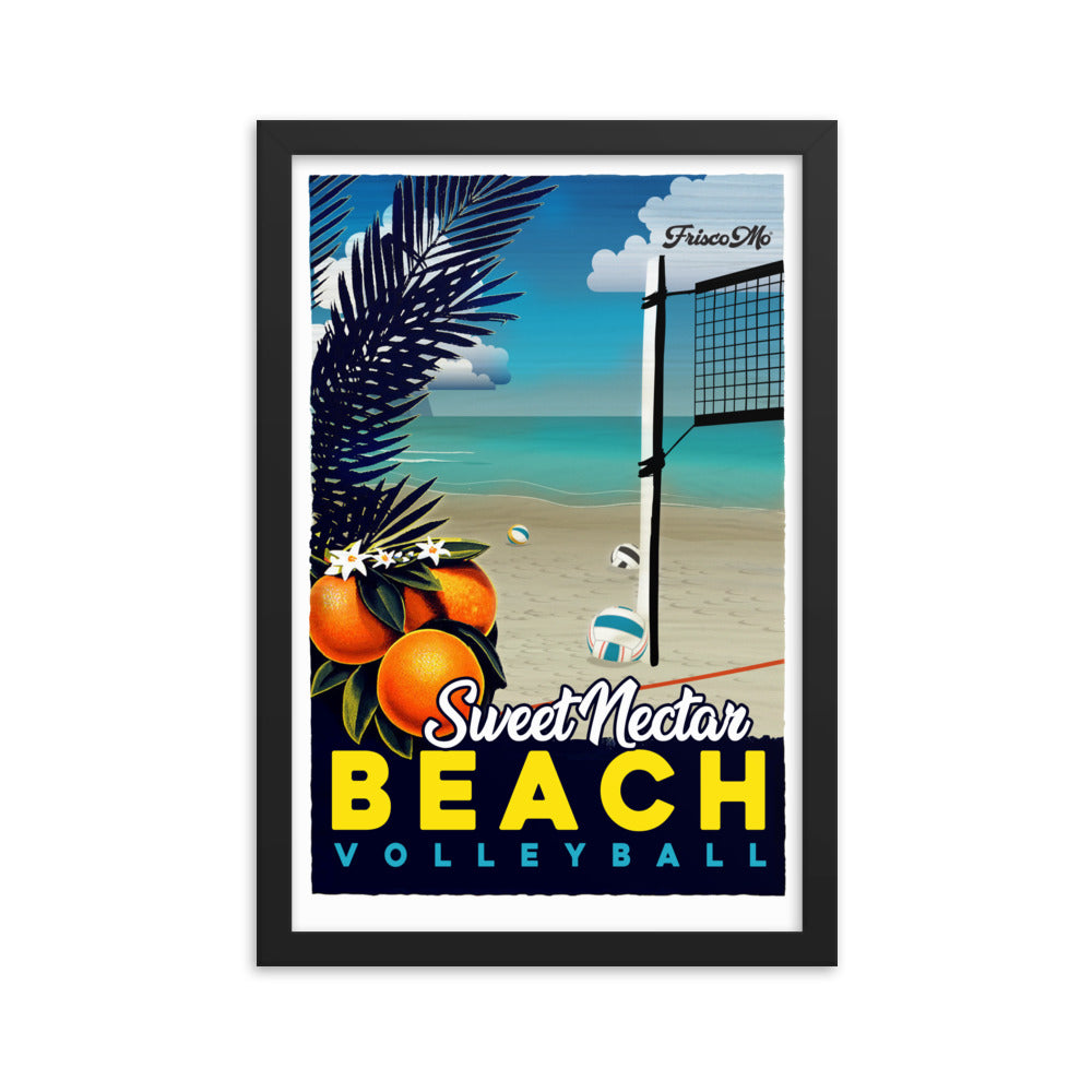 Nectar Beach Volleyball Framed Poster