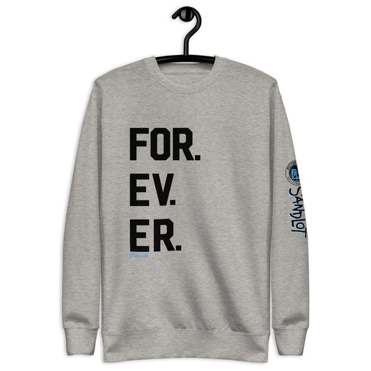 Pittsburgh VC Forever Premium Sweatshirt